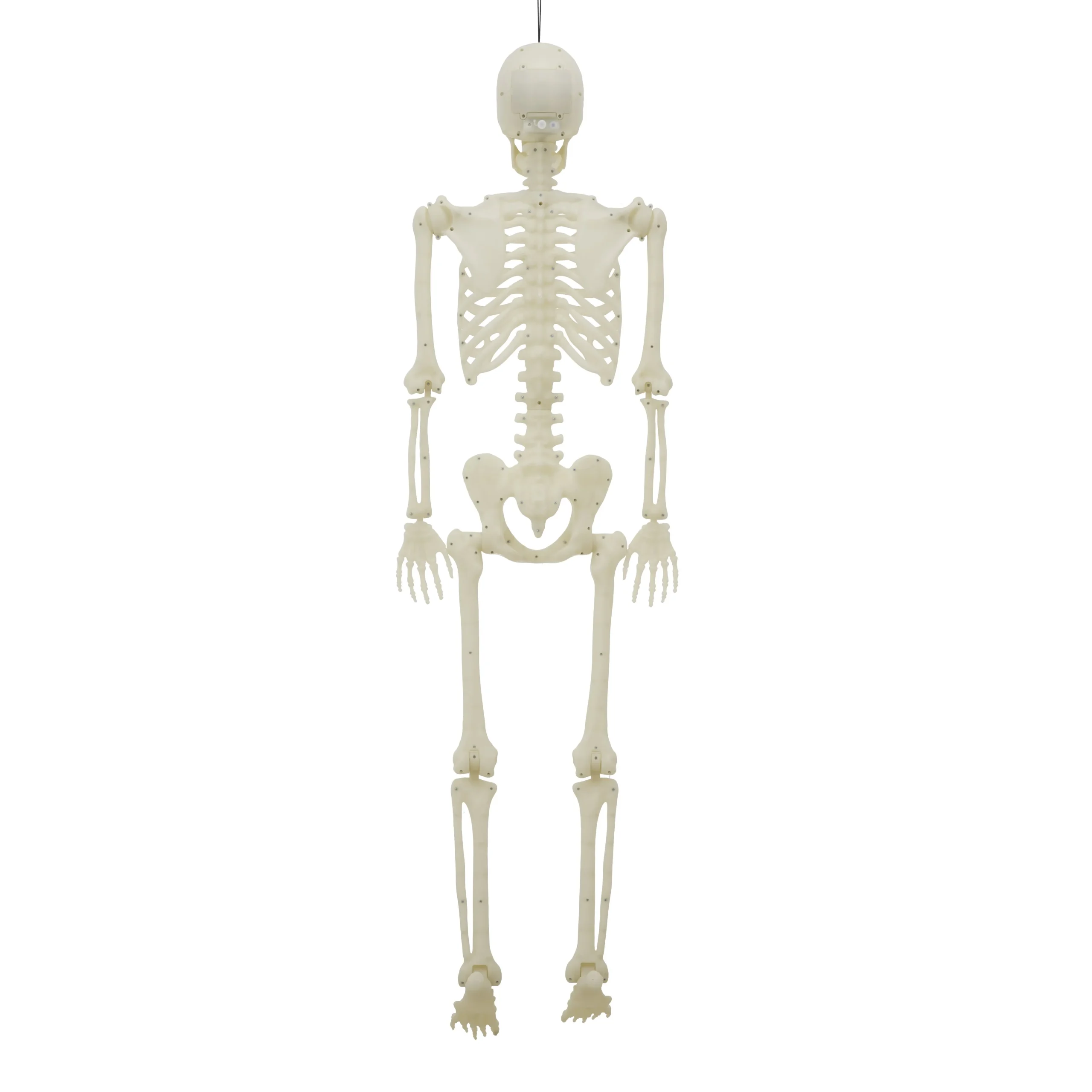 Light-Up LED Poseable Skeleton, Multicolor, 5', Halloween by Way To Celebrate - Image 5